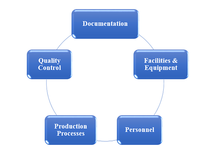 GMP Audits