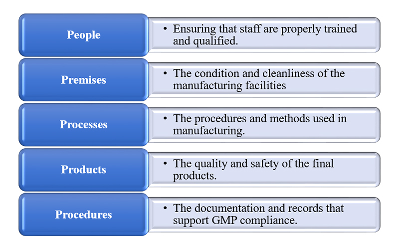 GMP Audits